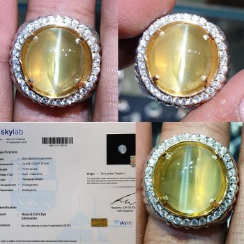 551295_63c04693-cde7-4a6c-b7d3-4f46311e3664_1920_1920[1][1]